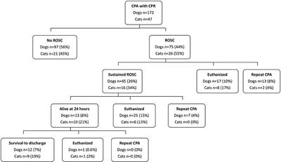 Prospective Evaluation of Cardiopulmonary Resuscitation Performed in Dogs and Cats According to the RECOVER Guidelines. Part 1: Prognostic Factors According to Utstein-Style Reporting